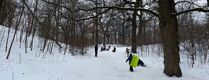 Парк «Сирецький гай» is one of объекты.