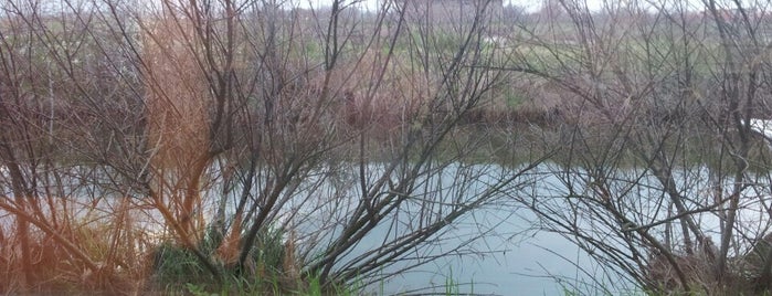 Centro Visite Salina di Cervia is one of Pines & Water.