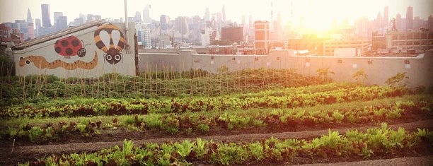 Brooklyn Grange Rooftop Farm is one of Queens.
