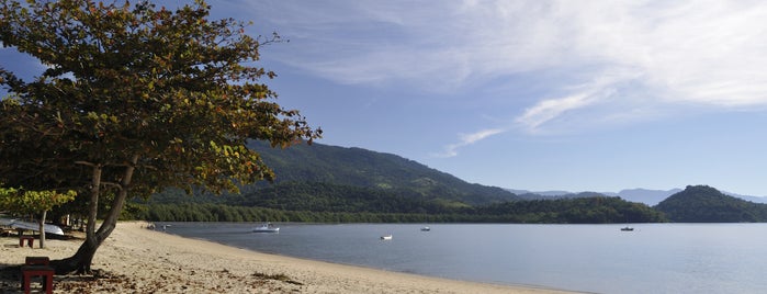 Praia do Jabaquara is one of Locais curtidos por Elcio.