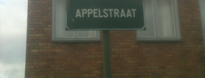 Appelstraat is one of Mijn check in's.