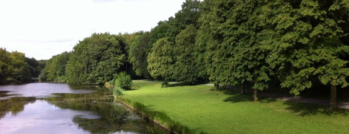 Haagse Bos is one of The Hague.