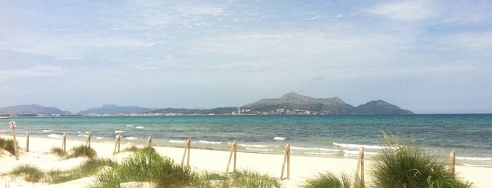 Playa de Muro is one of Mallorca 13.