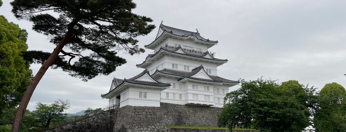 Odawara Castle Park is one of 「どうする家康」ゆかりのスポット.