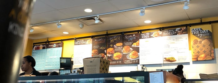 Einstein Bros Bagels is one of caféssimo.