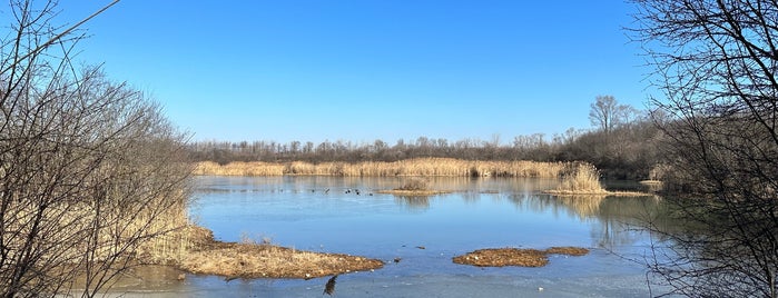Lake Renwick Heron Rookery Nature Preserve is one of Illinois Nature Preserves.