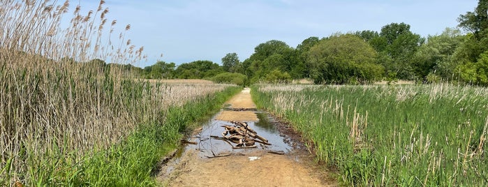 Oakhurst Forest Preserve is one of Forest Preserves.
