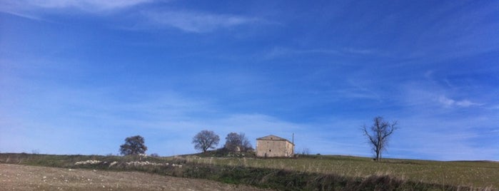 Bonefro is one of Tratturo Celano-Foggia.