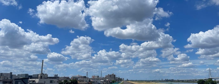 平井大橋 is one of Lieux qui ont plu à Minami.