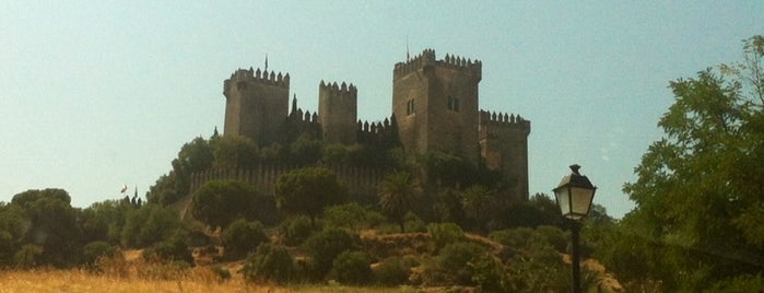Castillo de Almodóvar is one of Andalucía.
