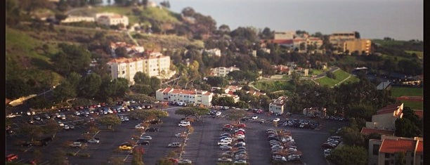 Pepperdine - School of Public Policy is one of Phillip Sheppard’s Liked Places.