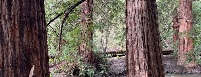 Redwood Grove Nature Preserve is one of Outdoors SF Bay.