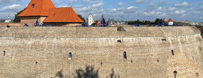 Vilniaus gynybinės sienos bastėja | Bastion of Vilnius City Wall is one of Tempat yang Disukai Carl.