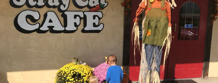 Stray Cat Cafe is one of Orte, die Mike gefallen.