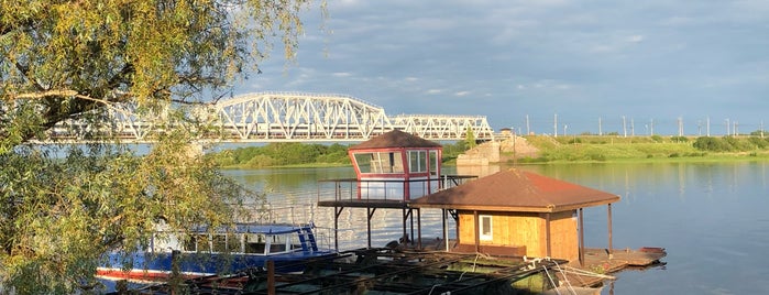 Волхов Мост is one of Места отстегивания печени.