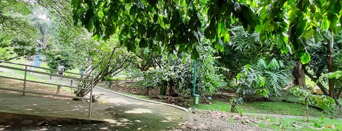 Kebun Raya Bogor is one of ENTERTAINMENT.