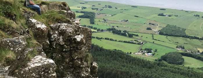 Binevenagh Forest is one of (Northern) Ireland.