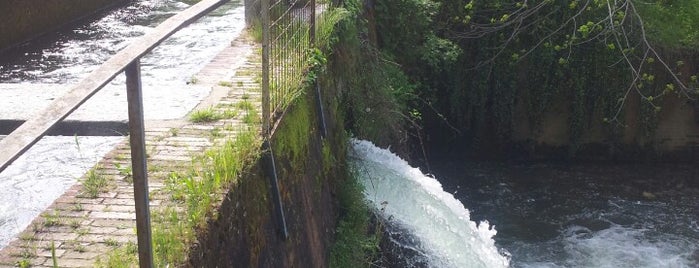 Alzaia Canale Villoresi - parco Molgora is one of Parco Molgora.