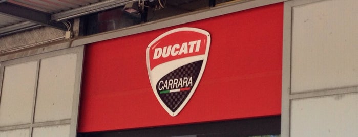 Ducati Carrara is one of nuovi mayor.