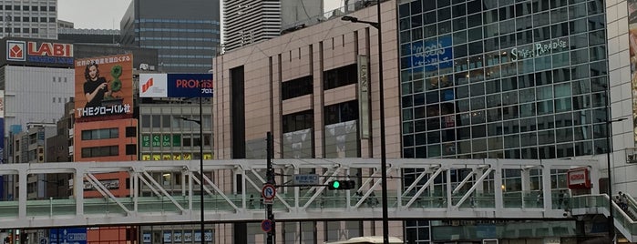 新宿跨線橋 is one of 東京陸橋.