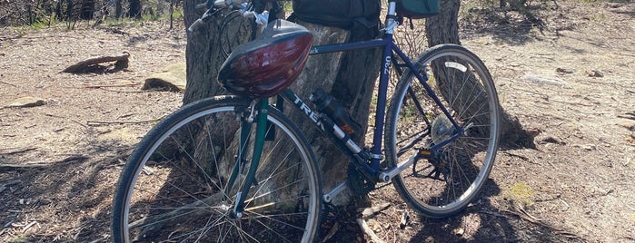 Narrow Neck Fire Trail is one of Mountain Biking.