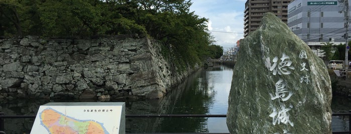 徳島城跡 is one of 日本の100名城.