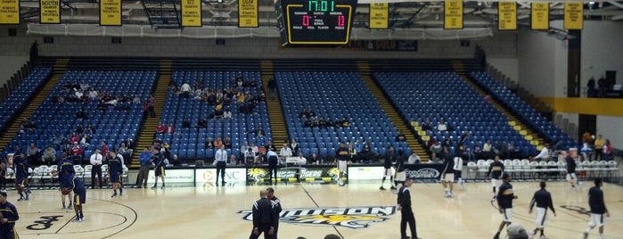 Towson Center Arena is one of Stadiums visited.