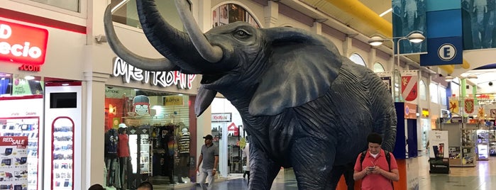 Pasillo del Elefante is one of Albrook Mall Places.
