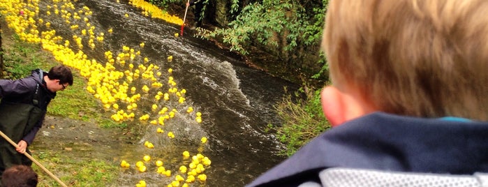 Duck Race is one of Luxemburg.