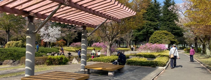 陵南公園 is one of 散歩にはとっておきの公園.