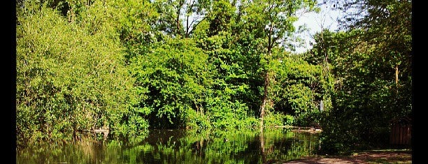 Fishponds Park is one of Del'in Beğendiği Mekanlar.