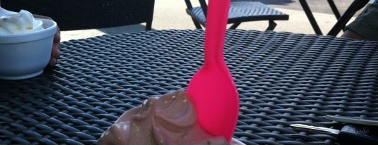 Penguin's Frozen Yogurt is one of Ice Cream! Only!.