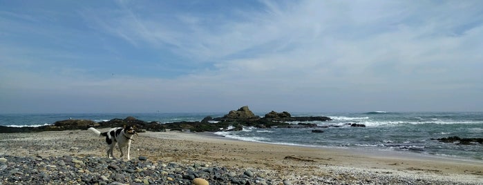 Playa de las Ágatas is one of Locais curtidos por Roberto.