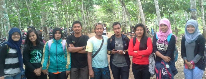 Pelaruga Jungle Tracking is one of refresing.