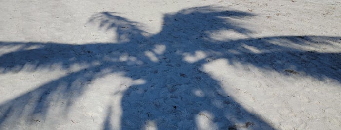 Lighthouse Beach is one of Scott'un Beğendiği Mekanlar.