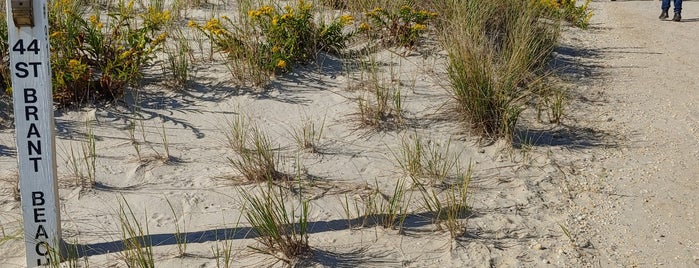 Brant Beach is one of Guide to Beach Haven's best spots.