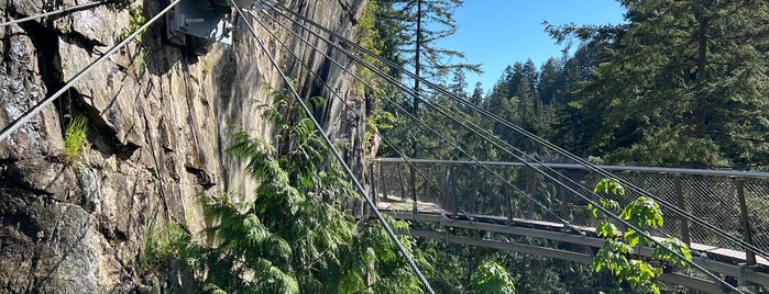Capilano Cliffwalk is one of Vancouver tips.