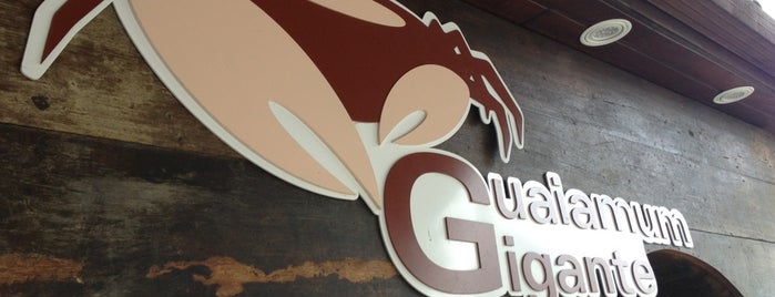 Guaiamum Gigante is one of Fui e recomendo.