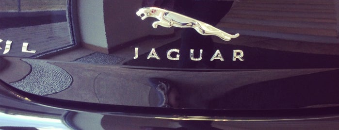 Независимость Jaguar is one of )))).