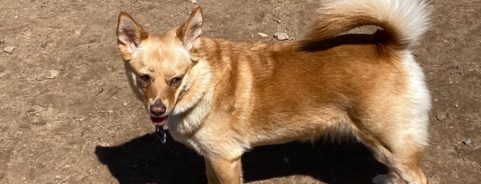 Echo Lake Dog Park is one of Dog Parks off leash.