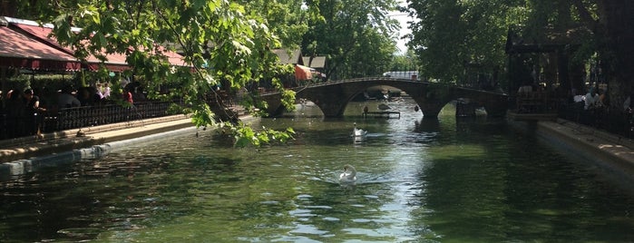 Çark Mesire is one of Top spots in Sakarya, Türkiye.