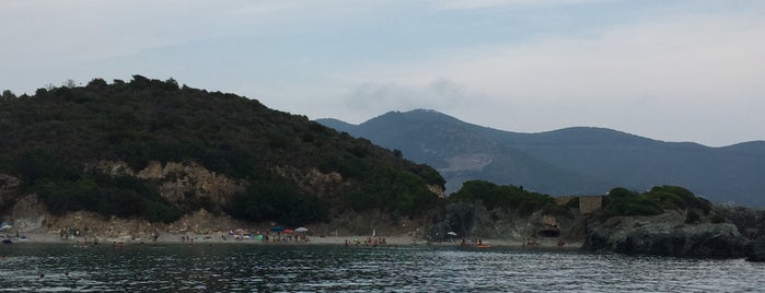 Spiaggia Di Laconella is one of Elba.