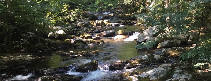 Big Creek Campground is one of Lugares favoritos de Alison.