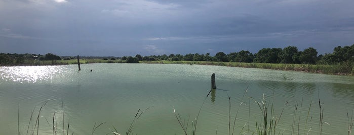 Ritch Grissom Memorial Wetlands is one of Tempat yang Disukai Gary.