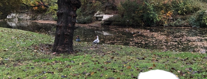 Turtle Creek Trail is one of สถานที่ที่ Oscar ถูกใจ.