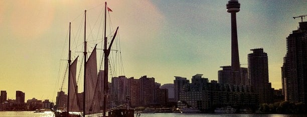Toronto Harbour is one of Toronto.