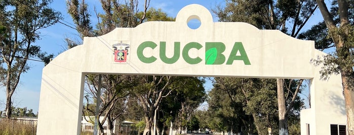 Centro Universitario de Ciencias Biológicas y Agropecuarias (CUCBA) is one of FRECUENTES.