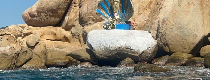Isla de la Roqueta is one of Acapulco pet friendly 🐕✨.
