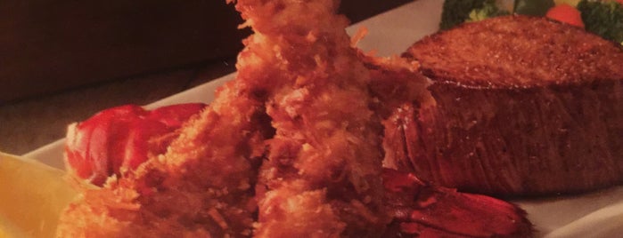 Outback Steakhouse is one of EATING in SRQ.