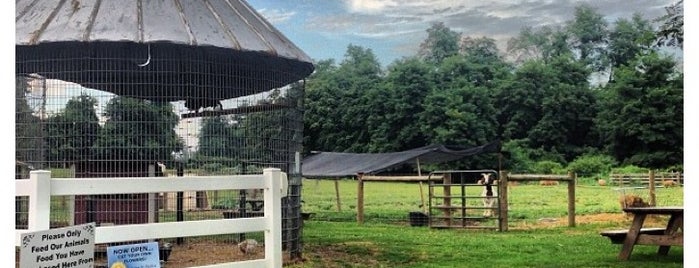 Paulus Farm Market is one of Lieux qui ont plu à Randy.